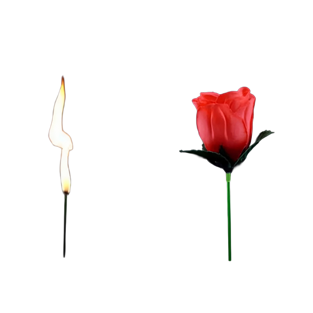 Antorcha y Rosa